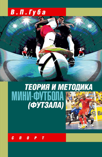 Теория и методика мини-футбола (футзала) Теория и методика мини-футбола (футзала)