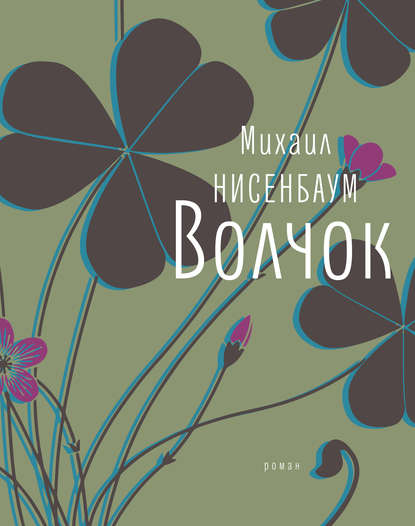 Волчок Волчок