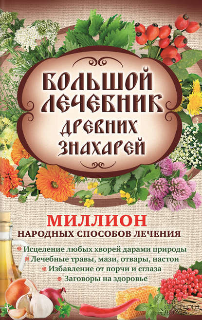 Большой лечебник древних знахарей. Миллион народных способов лечения Большой лечебник древних знахарей. Миллион народных способов лечения