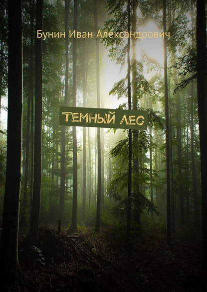 Темный лес Темный лес